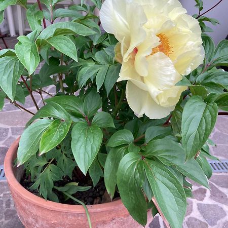 La Casona B&B 산 미켈레 알라디게 외부 사진