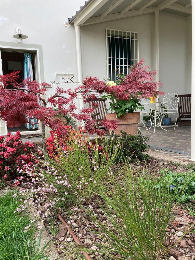 La Casona B&B 산 미켈레 알라디게 외부 사진